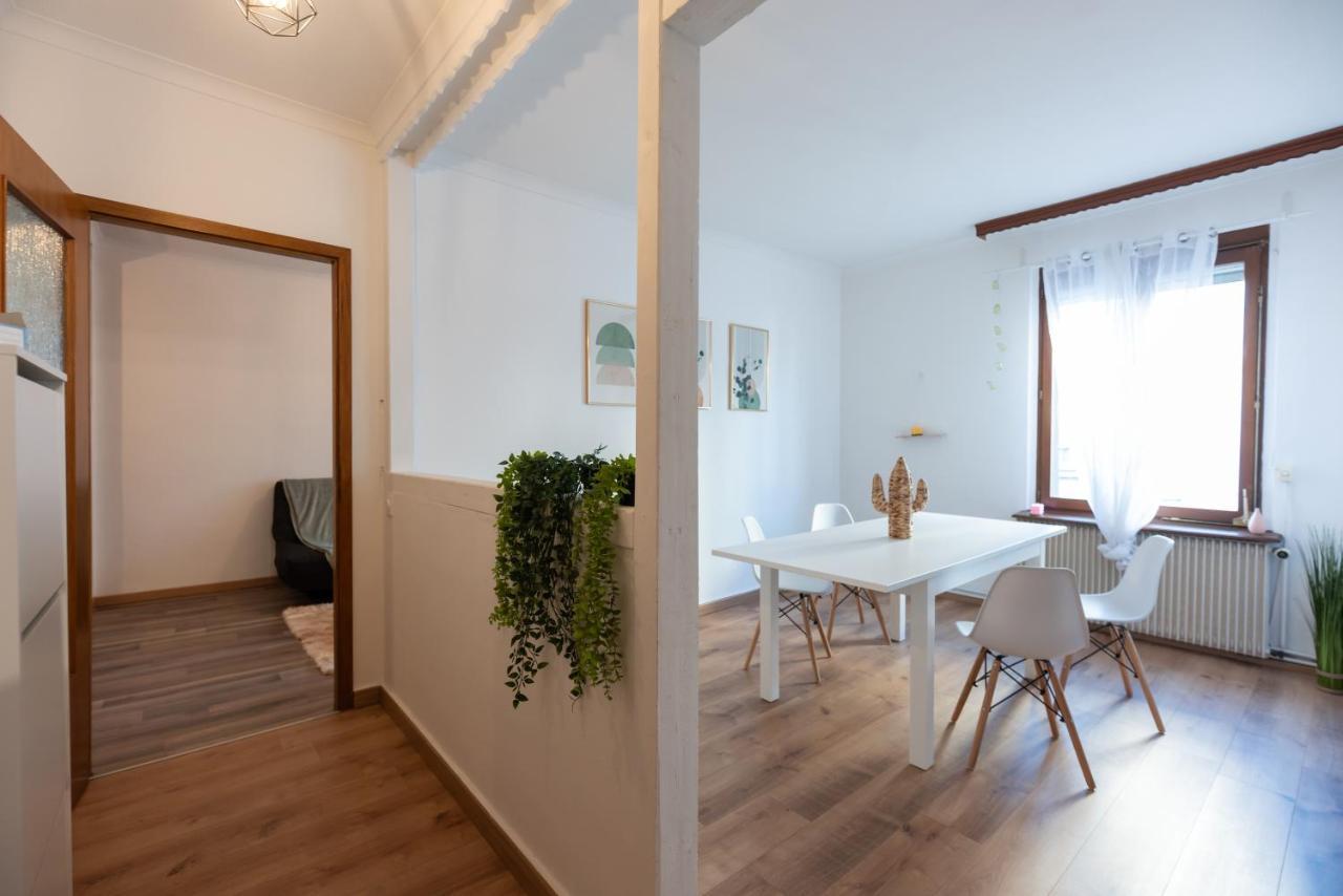 Appartement Cosy De 80 M2 Mulhouse Exterior photo